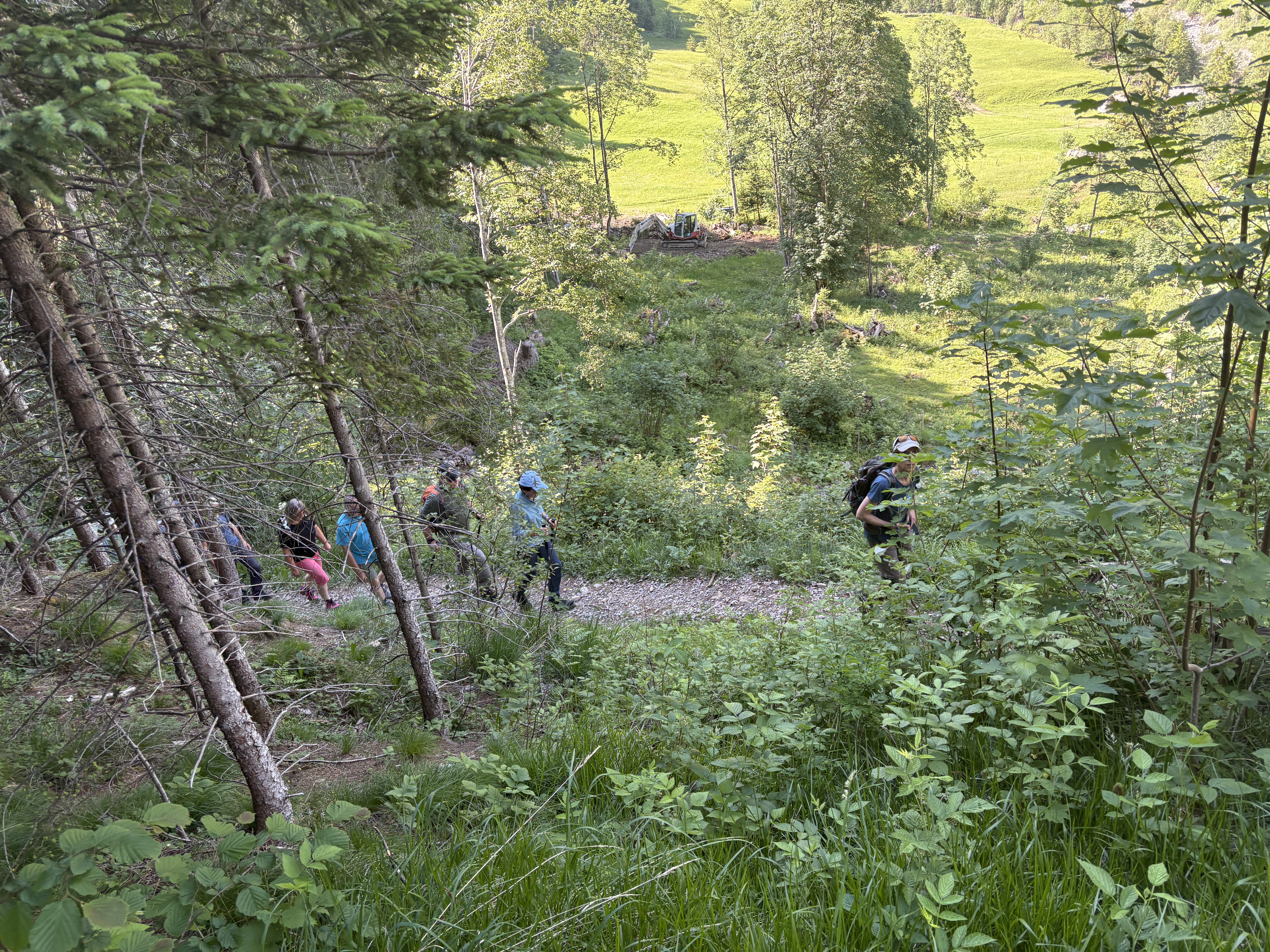 IMG_7089.JPG